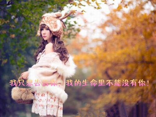 洛云烟温时庭全文阅读_洛云烟温时庭小说免费试读