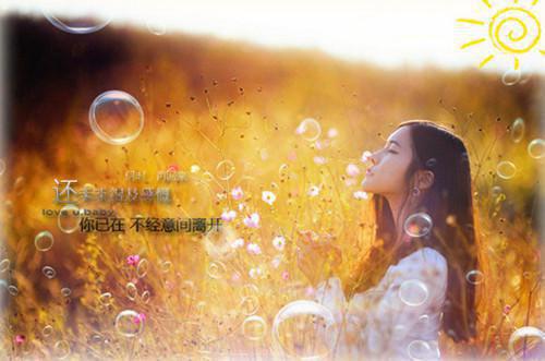 那个凡人决定去死全文阅读（谢霁阿遥）最新章节_那个凡人决定去死全文阅读