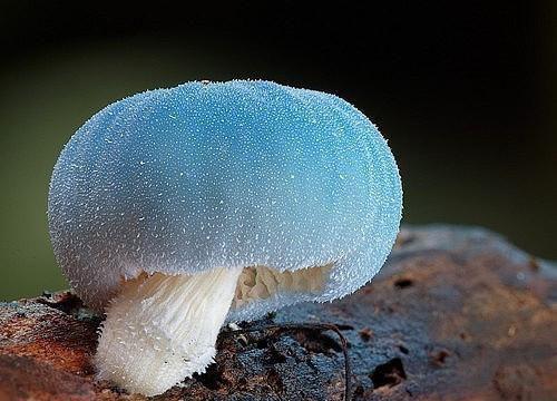 说我是反派，污蔑竟然成真了！在线（秦洛叶辰）最新推荐_最新推荐说我是反派，污蔑竟然成真了！在线（秦洛叶辰）