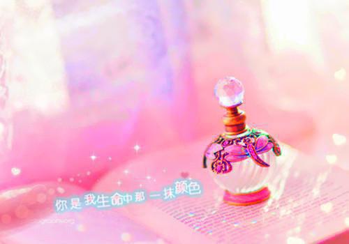 徐清彦沈青禾（沈青禾徐清彦）全文免费阅读无弹窗大结局_（沈青禾徐清彦）徐清彦沈青禾免费阅读无弹窗最新章节列表（沈青禾徐清彦）