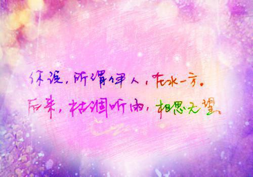 (番外)+(全文)十里红妆许君诺：结局+番外（姜若音李承瑾）全文免费阅读无弹窗大结局_（十里红妆许君诺：结局+番外免费阅读全文大结局）最新章节列表（十里红妆许君诺：结局+番外）
