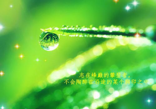 全章节小说孟欣彤谢苑杰小说主角为谢苑杰孟欣彤阅读