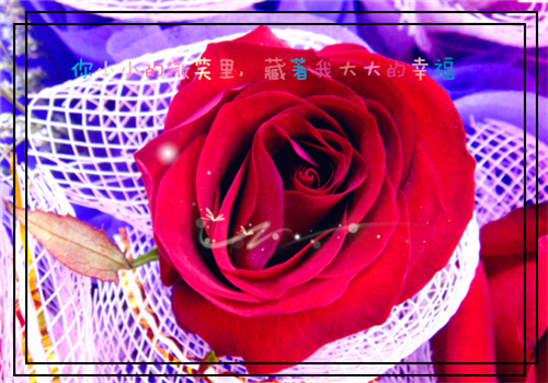 伤感句子正能量