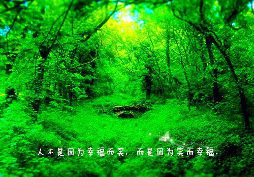 羡慕爱情的古风句子