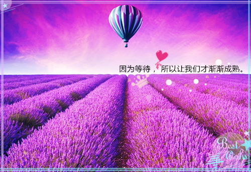 病秧子魏明珠魏光最新章节完整版小说阅读
