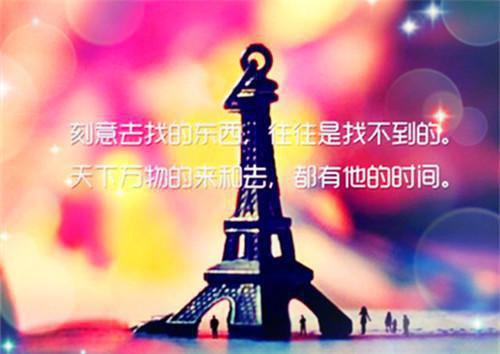 无敌最俊朗写的小说江初意陆照小说全文阅读
