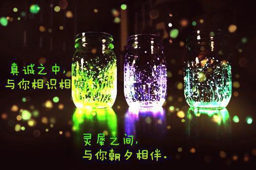 第5章小说末世囤货忙：我靠空间带崽吃香喝辣阅读