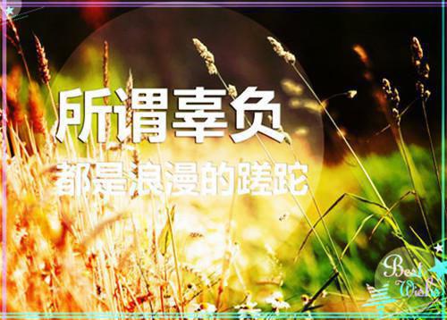 一起成功的小说新书太极门赘婿叶凡袁静完结版阅读