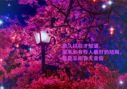搞笑激励团队正能量的句子