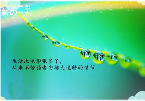 撩错人后，腹黑男把我钓成翘嘴全文俞知意谢宥时完结版免费试读