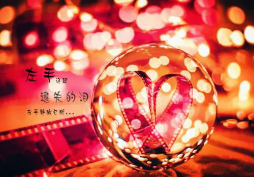叶晚晚霍庭深  全文小说全章节目录免费阅读