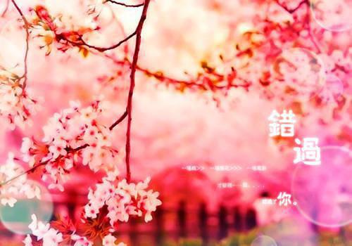 逼我和亲后，继兄后悔了最新小说（江浸月谢挽衣江逸之）全文阅读