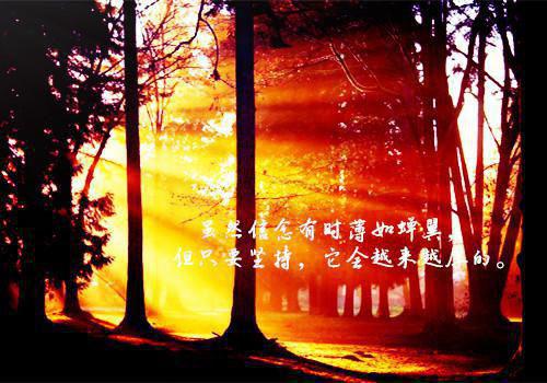 (秦恩依黎殊)小说全文免费阅读(秦恩依黎殊小说免费）全文免费阅读无弹窗大结局秦恩依黎殊无弹窗最新章节列表（秦恩依黎殊）