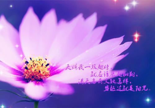 小说洪荒之玄元道尊主角为修为,真仙,青丘免费阅读