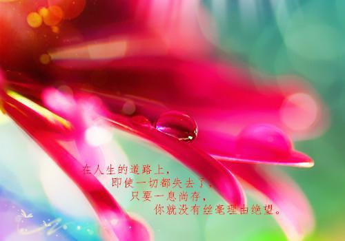 作者为一一的小说愿爱情如期而至免费阅读