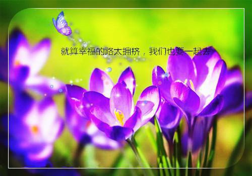 小说李娇娇林强辰第4章完整版阅读