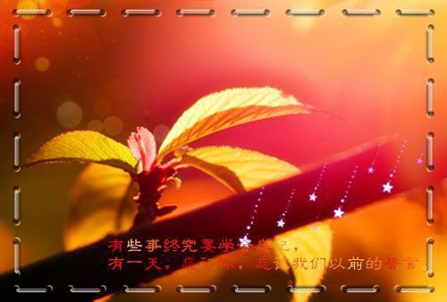 宋月莹冯廷烨宋月莹冯廷烨小说全章节阅读