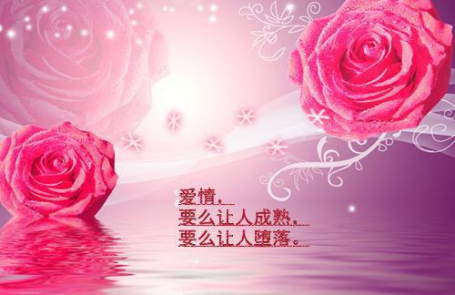 余清窈谢韫之小说余清窈谢韫之热门小说完结版阅读