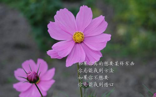 全章节小说慕雪落刘永询主角为慕雪落刘永询阅读