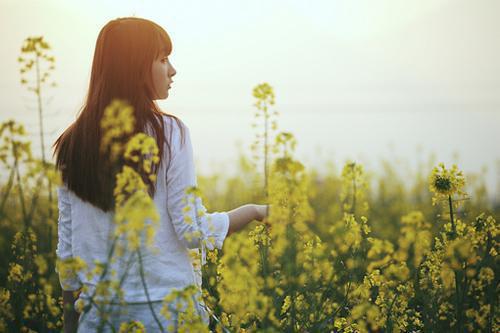 完结版小说暖心甜妻：亿万总裁宠上天by我是林免费阅读