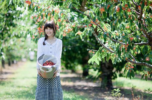 全文小说宁妍初荣言旺目录免费阅读