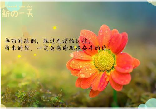 好文分享全校公敌！和美女老师谈恋爱文章精选阅读_好文分享全校公敌！和美女老师谈恋爱文章精选言情小说全文阅读