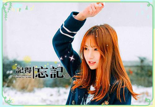 雨霖铃抒发词人感情的句子