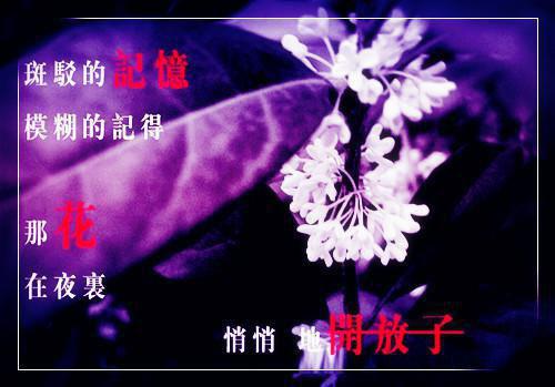 全文小说缚爱成茧姜柃熙顾政聿免费阅读
