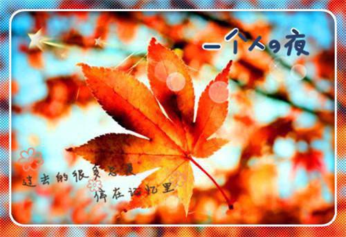 烽火万里写的小说离婚后，我成娱乐天王了你哭啥？全本小说阅读