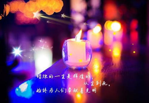 预谋爱情畅读最新小说（宁烟顾培衍）全文阅读