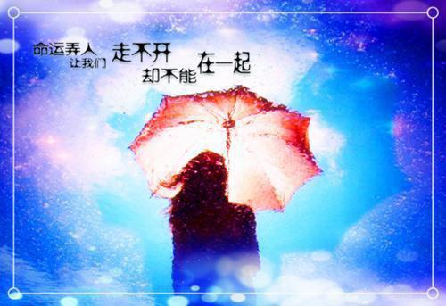 小说都市护花天医全文阅读周宇林洛洛完结版阅读