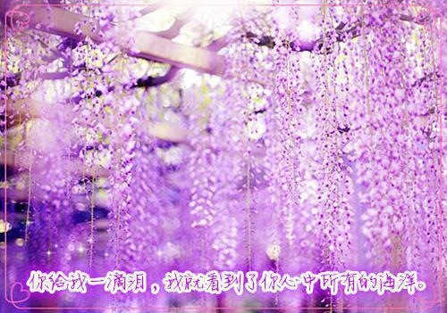 正能量分享句子人生感悟