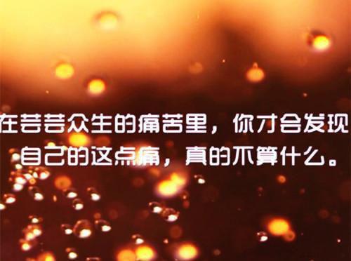 南佑疏宋卿免费小说佚名全章节阅读