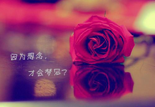 绑定厨神系统后，宗门画风跑偏了畅销书目小说阅读(沈青菡林浩)全本阅读