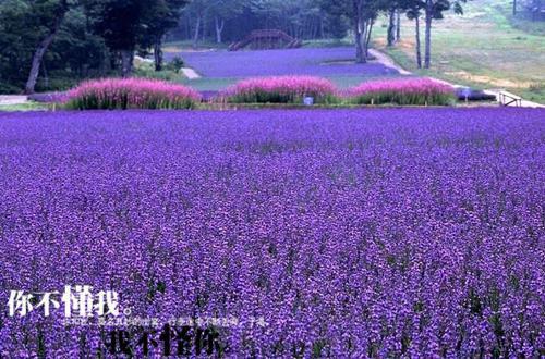 正能量经典人生哲理句子大全