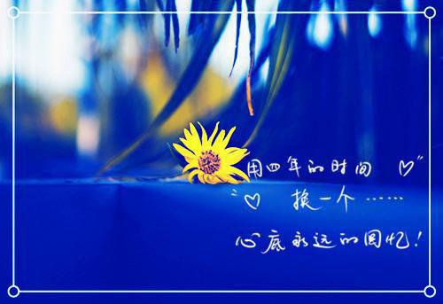 我的女友是魅魔小说免费阅读