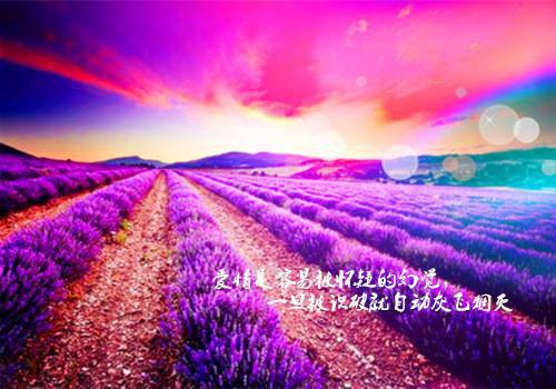 宋稚裴瑾年（虐我上瘾？竹马归来你算老几！全文+番外）全文免费阅读无弹窗大结局_(宋稚裴瑾年虐我上瘾？竹马归来你算老几！全文+番外)最新章节列表（虐我上瘾？竹马归来你算老几！全文+番外）