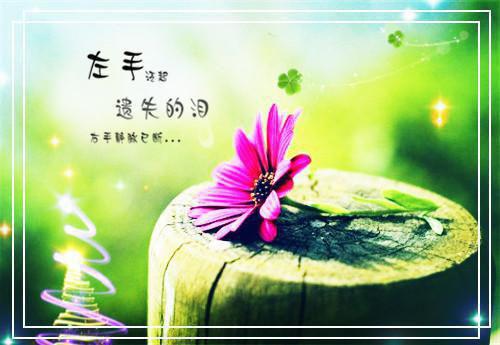 舒漾祁砚全章节_创作出彩误撩入局小说阅读