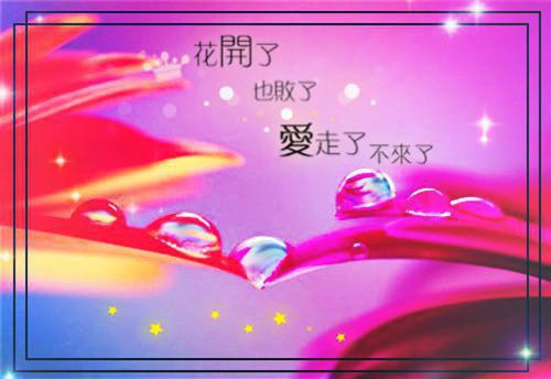 热门小说退婚后，他们后悔莫及叶塘阿沁楚楚全文免费阅读