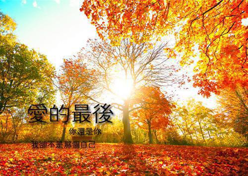 盖世败家子全文小说张世安灵儿小说在线阅读
