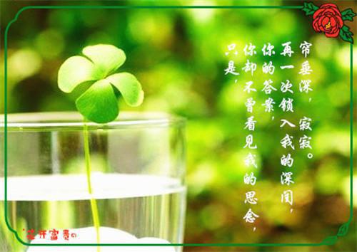 （顾云汐君夜玄）全文免费阅读无弹窗大结局_（错爱上瘾,冷酷战神日日纠缠小说）顾云汐君夜玄最新章节列表（顾云汐君夜玄）