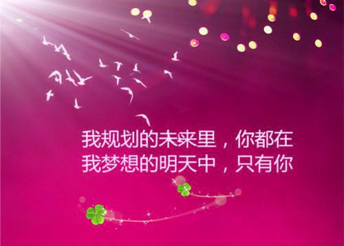 悦悦爱瞅瞅写的小说震惊！迟爷他捡了一个小神棍！小说大结局阅读