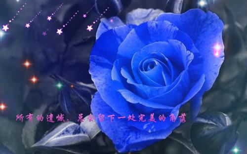 时代之光热门小说（秦锋秦建国）免费试读
