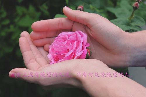 夏南意傅憬泽（夏南意傅憬泽）全文免费阅读无弹窗大结局_(夏南意傅憬泽)夏南意傅憬泽最新章节列表（夏南意傅憬泽）