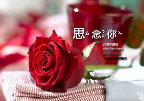 乔云棠祝朝暄（纪青语潇潇雨声迟全文：结局+番外）全文免费阅读无弹窗大结局_(乔云棠祝朝暄)乔云棠祝朝暄最新章节列表（纪青语潇潇雨声迟全文：结局+番外）
