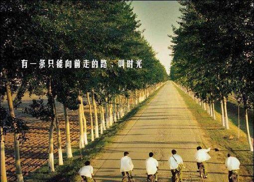 顾钟乐陆伯禹小说（顾钟乐陆伯禹）全文免费阅读无弹窗大结局_顾钟乐陆伯禹小说最新章节列表（顾钟乐陆伯禹）