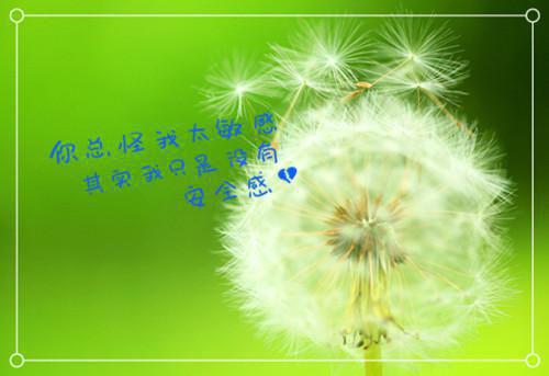 魏玉凰赵风澈（魏玉凰赵风澈）全文免费阅读无弹窗大结局_魏玉凰赵风澈最新章节列表（魏玉凰赵风澈）