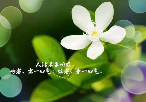 人生感悟正能量的经典句子图片