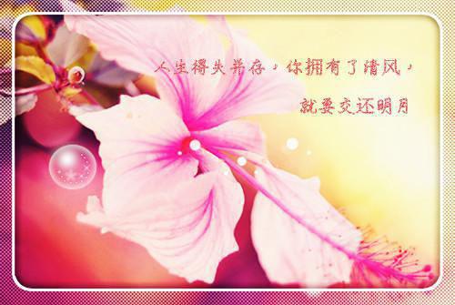 桑蕴季桁（桑蕴季桁）全文免费阅读无弹窗大结局_(桑蕴季桁免费阅读）桑蕴季桁最新章节列表（桑蕴季桁）
