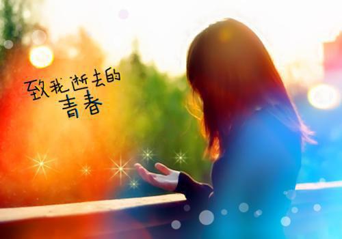 感恩分享正能量的句子关于TST的